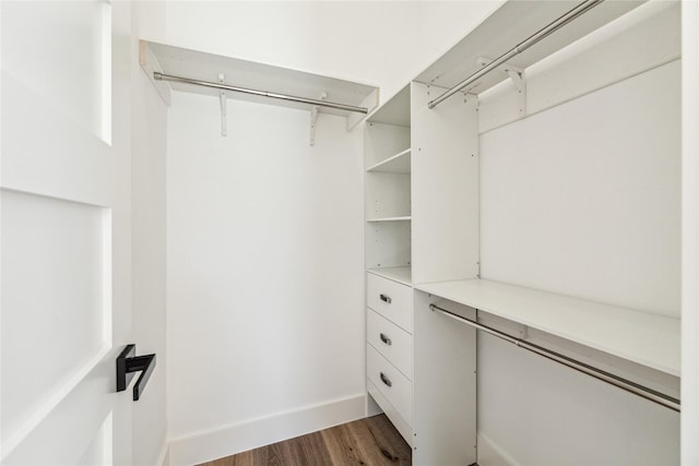 spacious closet featuring dark hardwood / wood-style floors