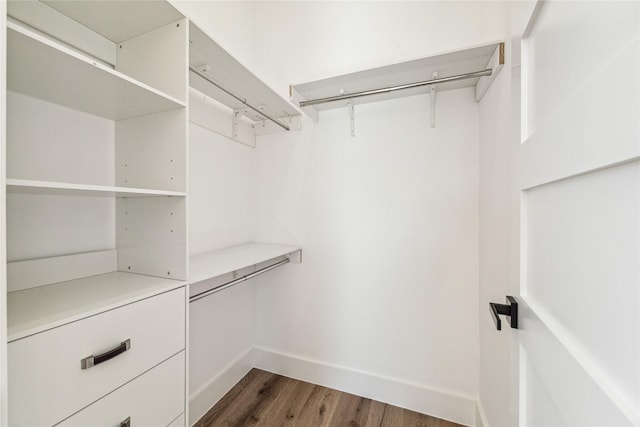 walk in closet with dark hardwood / wood-style flooring