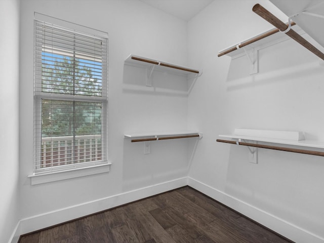 walk in closet with hardwood / wood-style flooring