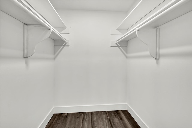 spacious closet featuring wood-type flooring