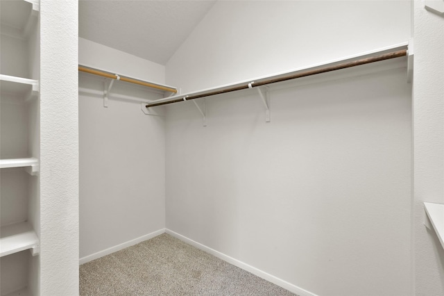 spacious closet featuring lofted ceiling and carpet floors