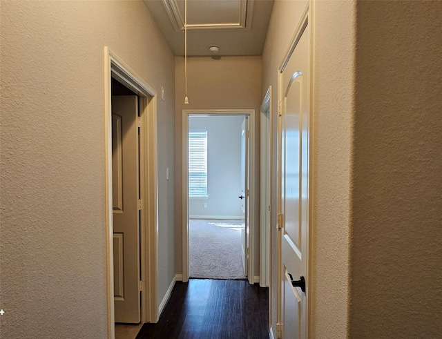 corridor with dark hardwood / wood-style floors