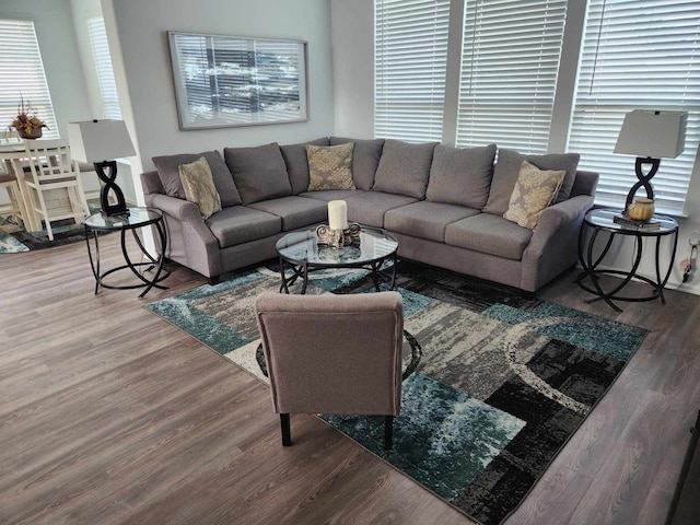 living room with wood-type flooring