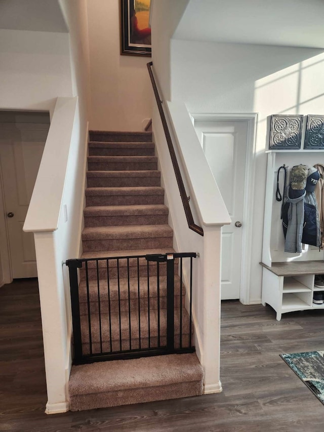 stairs featuring hardwood / wood-style floors