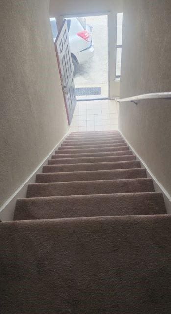 staircase featuring carpet flooring