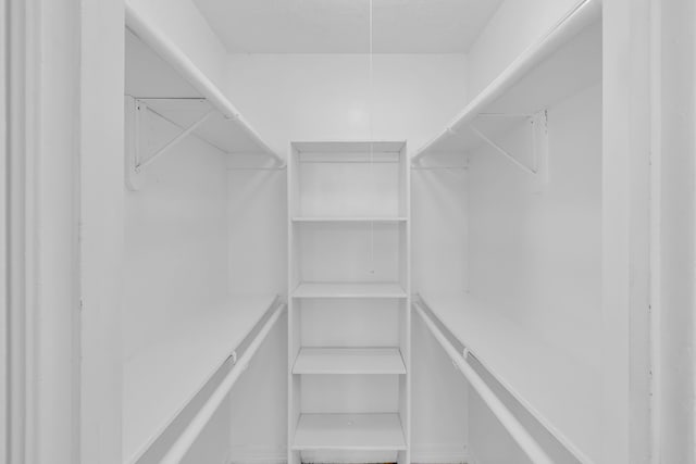 view of walk in closet