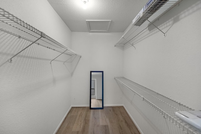 spacious closet with wood-type flooring