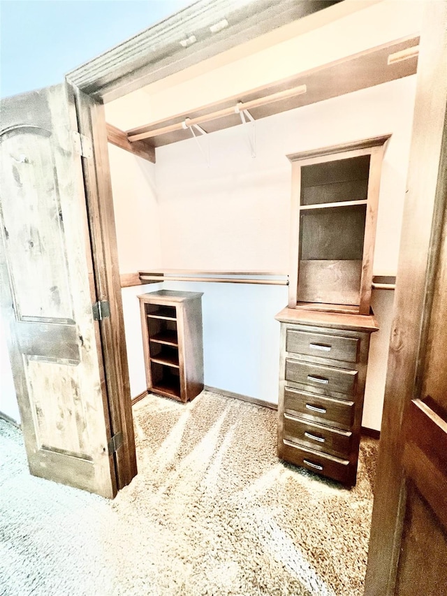 spacious closet featuring carpet flooring