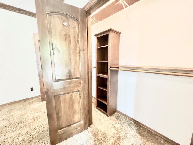 walk in closet featuring carpet floors