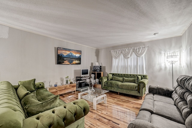 living room with crown molding, a textured ceiling, and light wood-type flooring