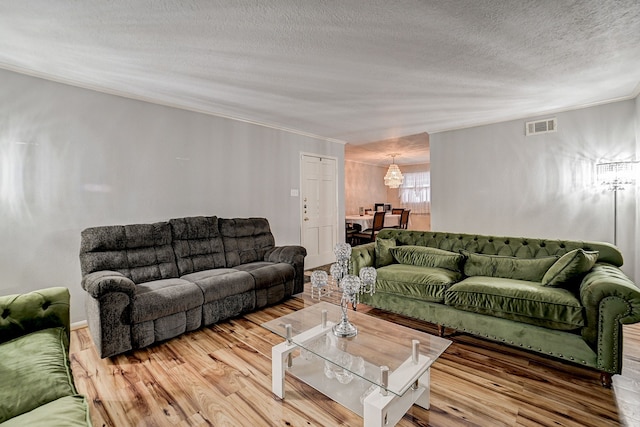 living room featuring hardwood / wood-style floors and a textured ceiling