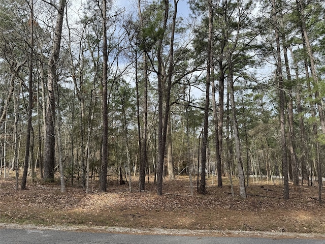 91 S Fairway Loop, Coldspring TX, 77331 land for sale