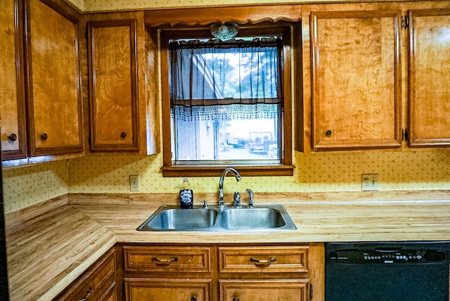 kitchen with dishwasher and sink