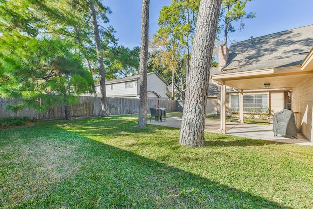 view of yard featuring a patio area