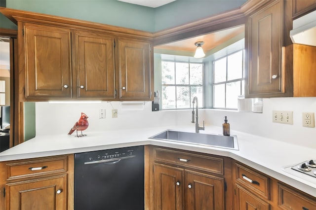 kitchen with sink, white cooktop, and dishwasher