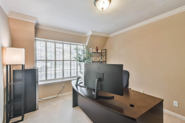 carpeted office featuring crown molding