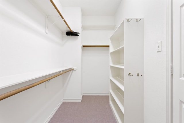 spacious closet featuring light carpet