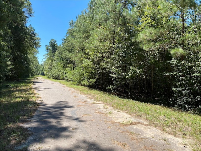 0 Birch Ln, Cleveland TX, 77328 land for sale