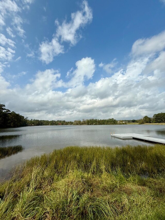 property view of water with a boat dock