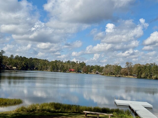 view of water feature featuring a dock