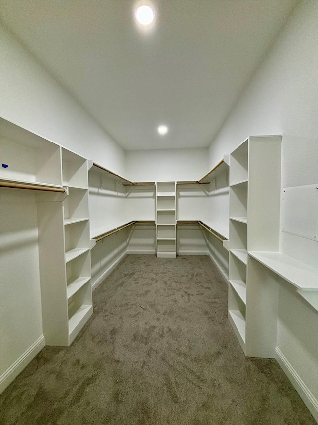 spacious closet with dark carpet