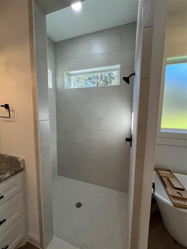 bathroom featuring vanity and separate shower and tub