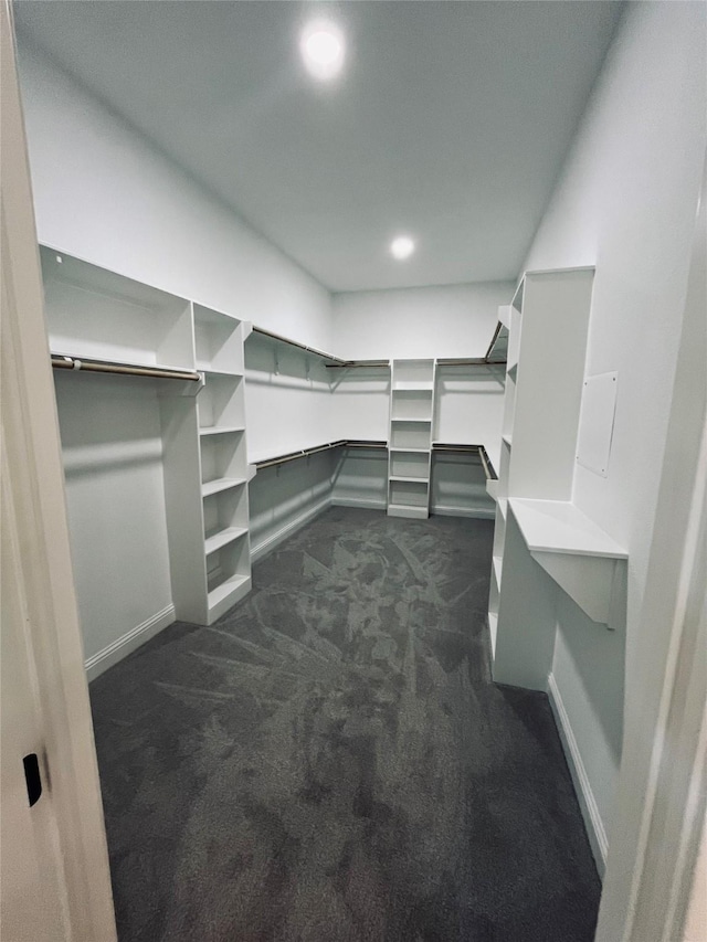 walk in closet featuring dark colored carpet