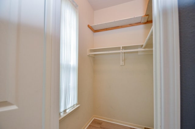 spacious closet with wood-type flooring