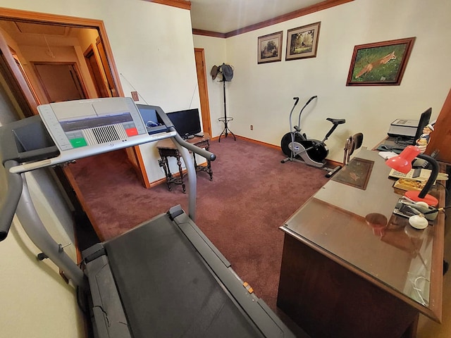 exercise area with carpet and ornamental molding