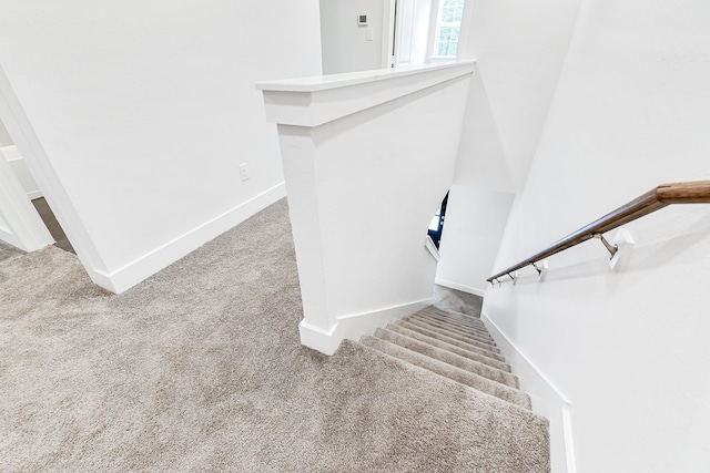 stairway featuring carpet