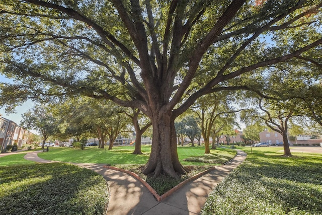 surrounding community with a lawn