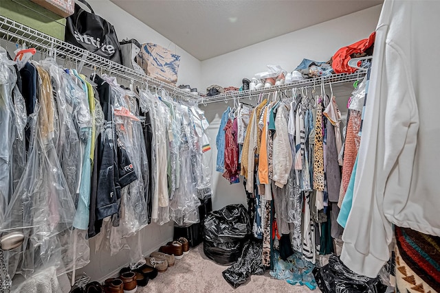 walk in closet featuring carpet flooring