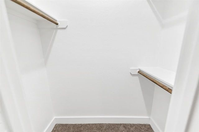 walk in closet with carpet flooring