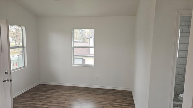 unfurnished room featuring plenty of natural light and dark wood-type flooring