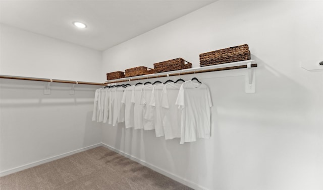 walk in closet featuring carpet flooring