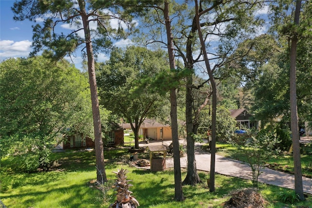 view of property's community featuring a lawn