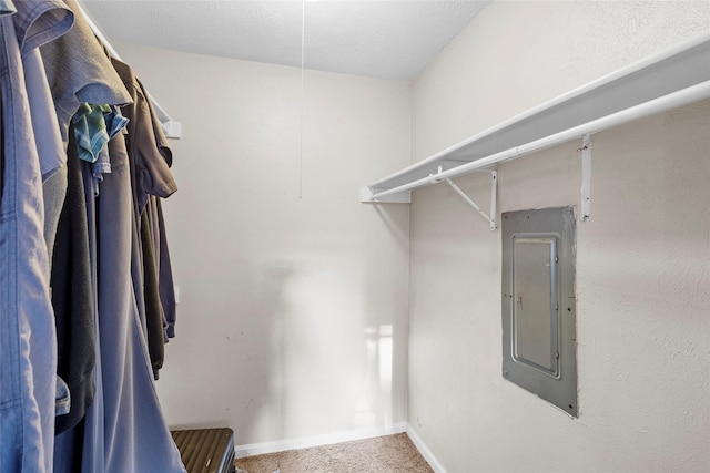 spacious closet with electric panel and carpet