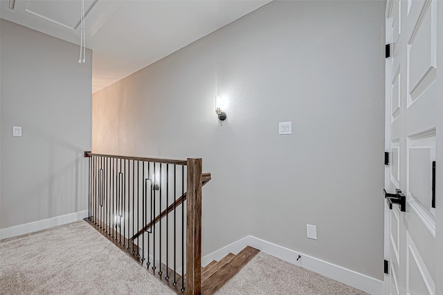 staircase with carpet flooring