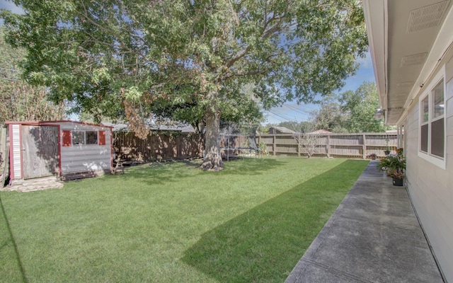 view of yard with a storage shed