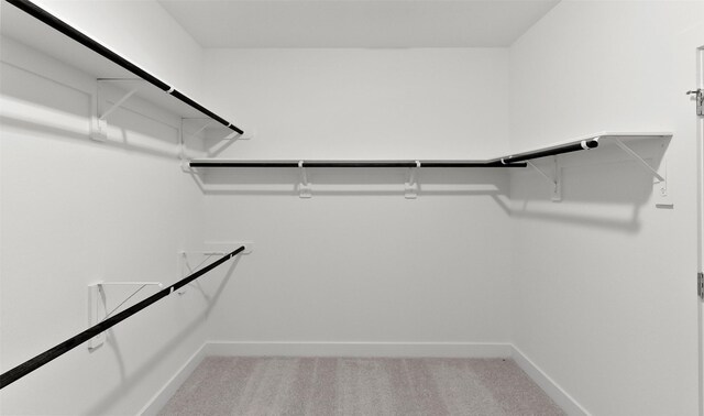 spacious closet with carpet