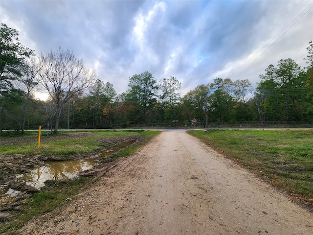 Listing photo 2 for TBD Judy Ln, Shepherd TX 77371