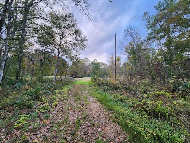 Listing photo 3 for TBD Judy Ln, Shepherd TX 77371