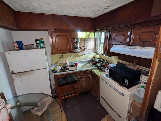 kitchen with ventilation hood and sink