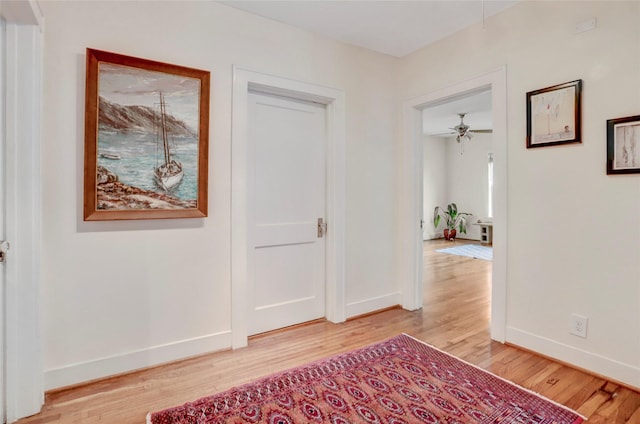 hallway featuring hardwood / wood-style floors