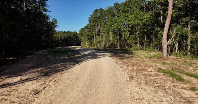 TBD13.75 Fm 362 Rd Rd, Waller, TX 77484 - photo 5