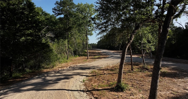 TBD13.75 Fm 362 Rd Rd, Waller, TX 77484 - photo 6