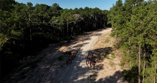 TBD13.75 Fm 362 Rd Rd, Waller, TX 77484 - photo 7