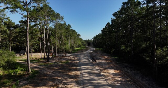TBD13.75 Fm 362 Rd Rd, Waller, TX 77484 - photo 8