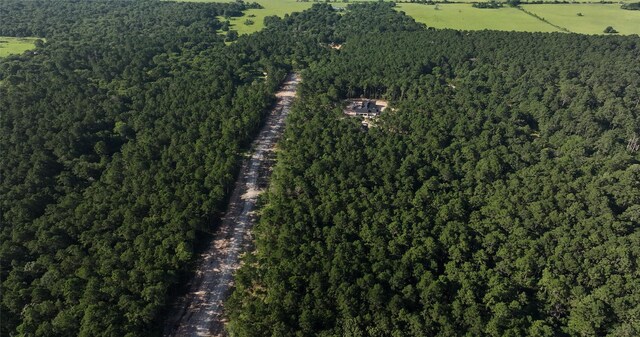 TBD13.75 Fm 362 Rd Rd, Waller, TX 77484 - photo 12