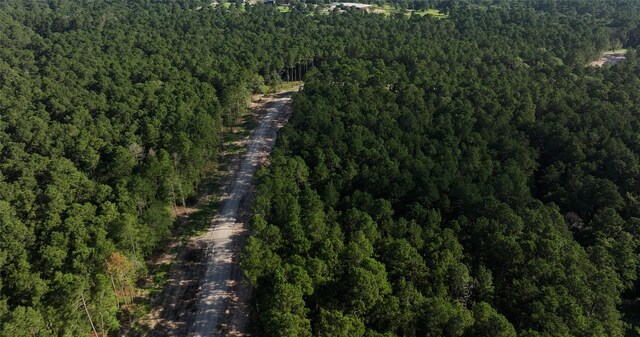 TBD13.75 Fm 362 Rd Rd, Waller, TX 77484 - photo 13